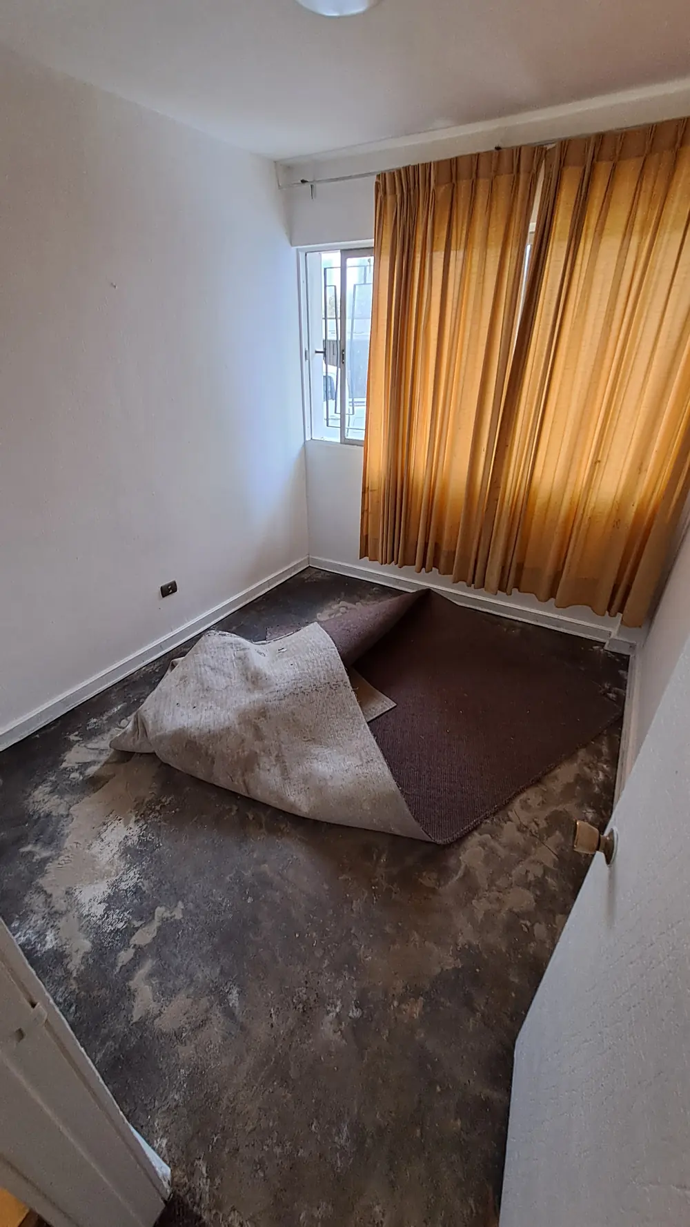 Antes: habitación con alfombra antigua